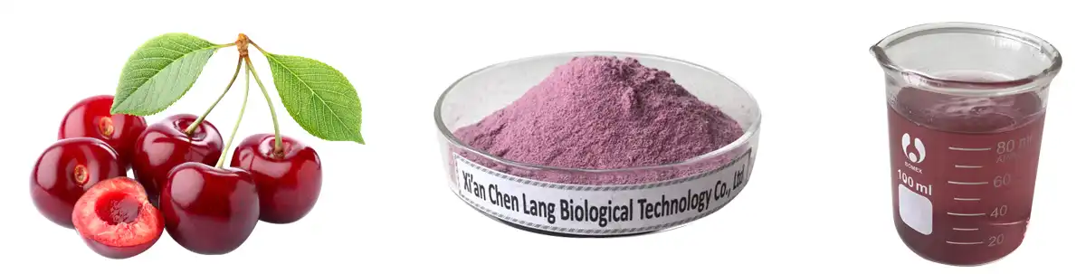 Tart Cherry Extract Powder AAAAA.jpg Tart Cherry Extract Powder AAAAA.jpg